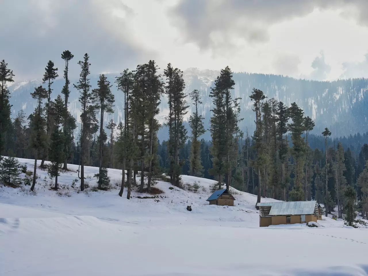 Dachigam National Park
