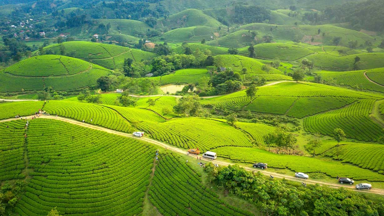 Munnar Alleppey Tour