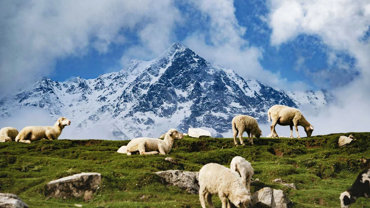 Dharamshala Triund Tour