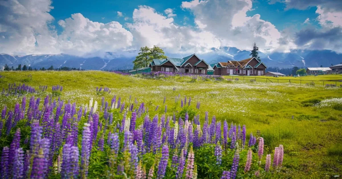 Kashmir Family Vacation