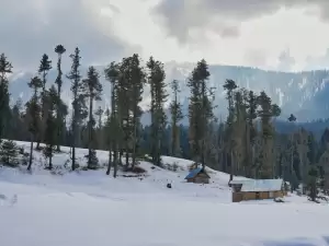 Dachigam National Park