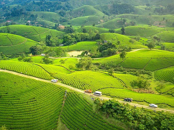 Munnar Alleppey Tour