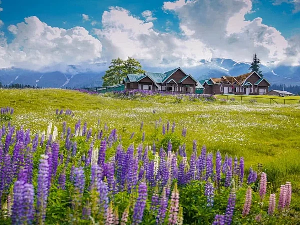 Kashmir Family Vacation